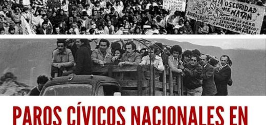 Encuentros Ácratas: Los Paros Cívicos Nacionales en Colombia
